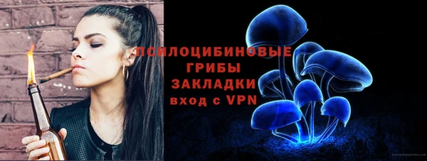 ГАЛЛЮЦИНОГЕННЫЕ ГРИБЫ Магадан
