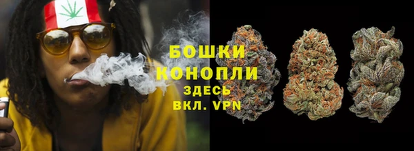 ГАЛЛЮЦИНОГЕННЫЕ ГРИБЫ Магадан