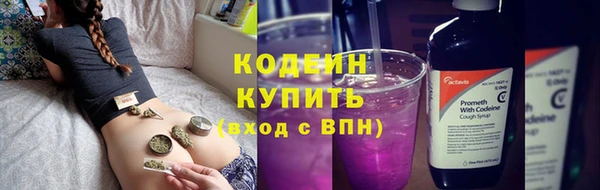 стаф Майский