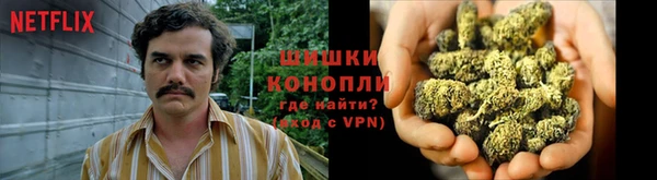 ГАЛЛЮЦИНОГЕННЫЕ ГРИБЫ Магадан