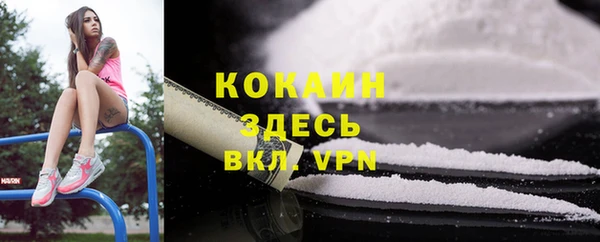 a pvp Магас
