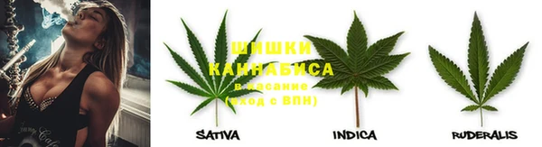 ГАЛЛЮЦИНОГЕННЫЕ ГРИБЫ Магадан