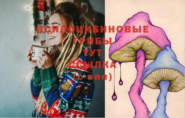 стаф Майский